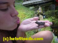 /home//u458753944/public_html/sourcegallery///Frogs/Mixed frogs/P1070615.JPG